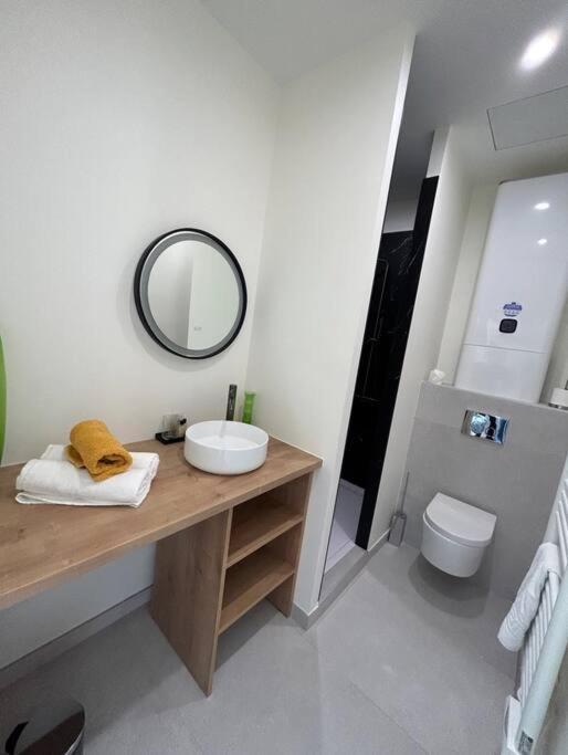 Le Studio Jardin D'Eden Metro Palais De Justice Apartment Тулуза Екстериор снимка